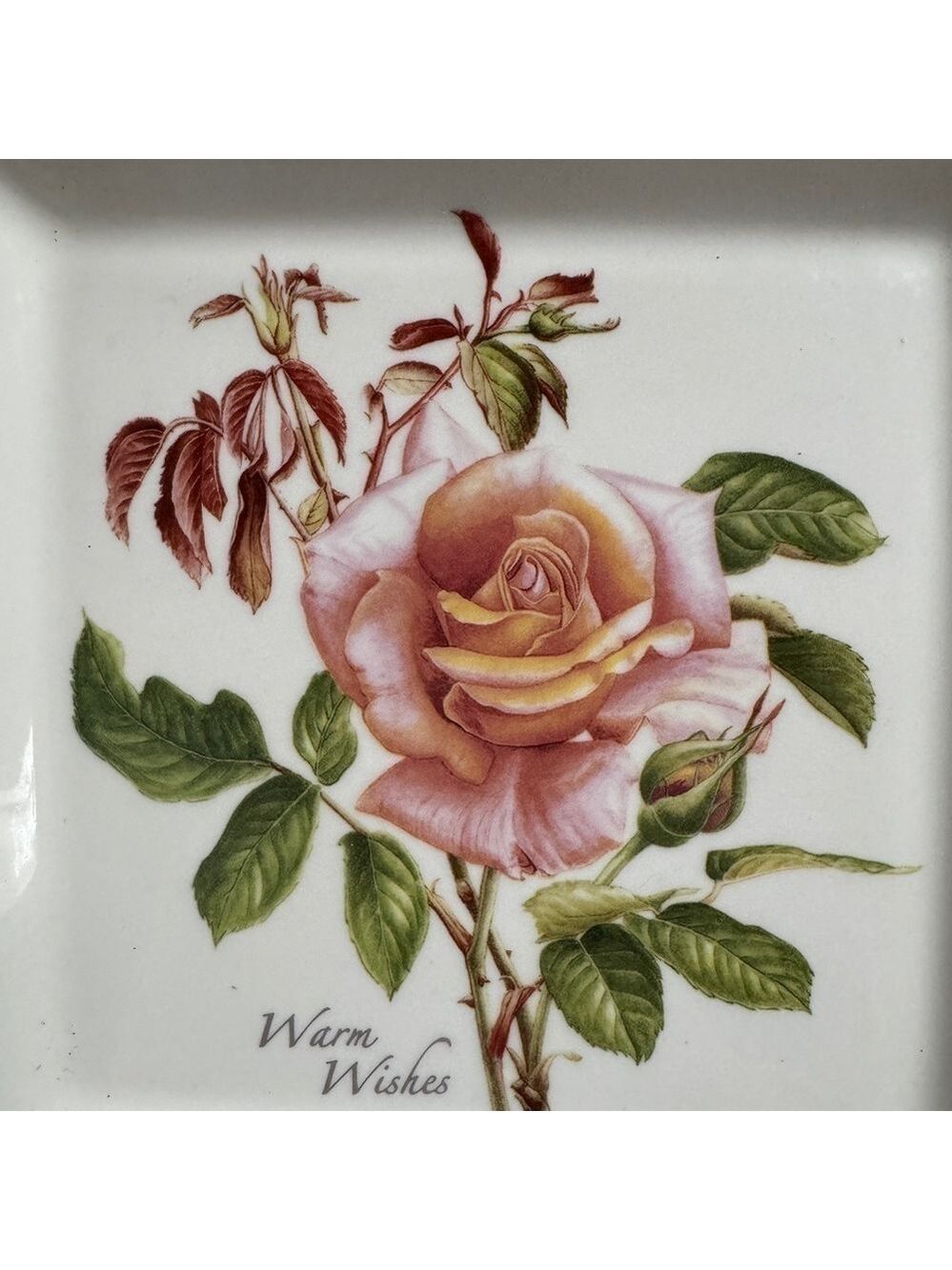 Portmeirion Botanic Roses Set of 2 Square Plates - Picture 2 of 6